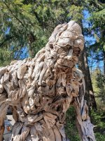 bigfoot 2.jpg