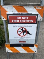 IMG_5810.jpeg