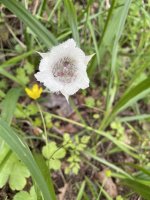 IMG_5812.jpeg