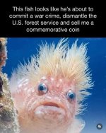 FB_IMG_1776635509583.jpg