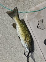 20260419_120247.jpg 20260419_120247.jpg