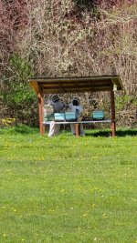 IMG_20260419_164638.jpg