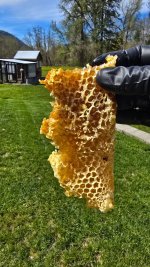 20260419_144356.jpg