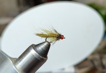 PXL_20260420_223356640.jpg