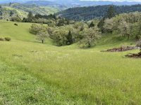 IMG_5824.jpeg