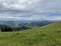 IMG_5817.jpeg