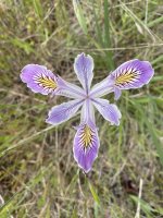 IMG_5825.jpeg