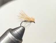 PXL_20260421_192011931.jpg