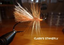 Clark's Stonefly.jpg