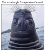 1776814861625.png