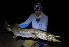 Guinean Barracuda 1.jpg