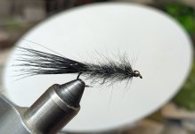 PXL_20260422_235935445.jpg