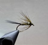 IMG_9604.jpeg