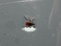 IMG_2716.jpeg IMG_2716.jpeg
