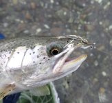 IMG_6612.jpeg