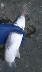 IMG_6609.jpeg