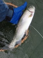 IMG_6614.jpeg