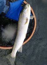 IMG_6603.jpeg