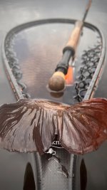 IMG_2143.jpeg