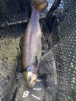 IMG_4459.jpeg IMG_4459.jpeg