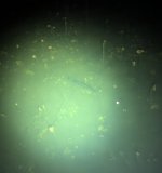 PXL_20260425_063427444.jpg