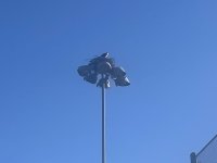 IMG_9868.jpeg