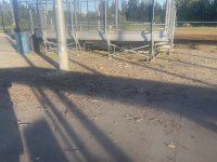 IMG_9866.jpeg