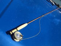 IMG_4669.jpeg