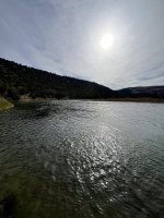IMG_8083.jpeg