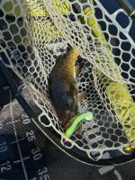 IMG_0696.jpeg