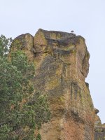 SmithRockGoose3.jpg