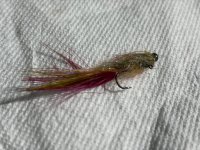 Spycraft leech.jpeg Spycraft leech.jpeg