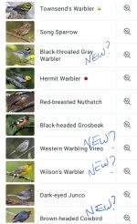 Screenshot_20260426_083135_Merlin Bird ID.jpg