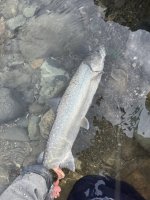 IMG_3488.jpeg