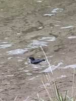 IMG_8102.jpeg