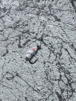 IMG_8103.jpeg