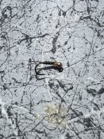 IMG_8104.jpeg