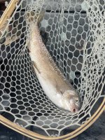 IMG_8106.jpeg