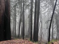 IMG_7460.jpeg