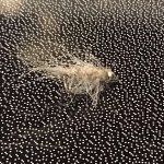 IMG_4679.jpeg