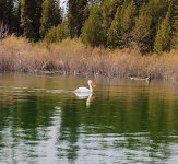 IMG_20260428_135902956_HDR~2.jpg