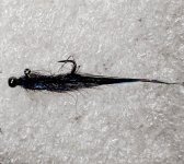 IMG_20260428_170425636~2.jpg