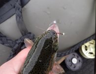 IMG_6647.jpeg IMG_6647.jpeg