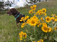 IMG_4071.jpeg