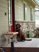 IMG_4065.jpeg