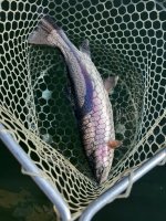 IMG_1495.jpeg