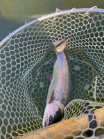 IMG_1497.jpeg