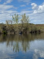 IMG_1500.jpeg