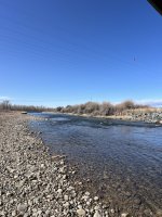 IMG_8118.jpeg