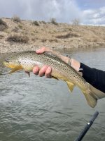 IMG_8121.jpeg